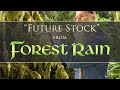 "Future Stock" from FOREST RAIN by Dean Evenson