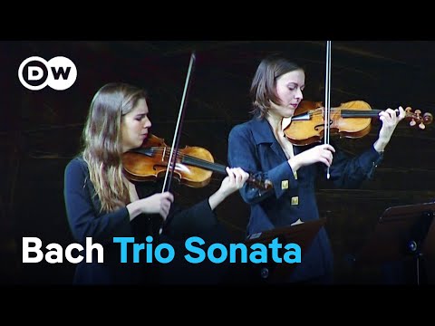 Bach: Sonata in G major for two violins and basso continuo | Le Concert d'Astrée