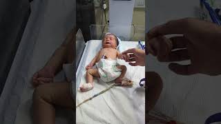 Download lagu Cute Baby lovely moment 🍼😍 #newborncare #baby #neonatologist #cute #feeding mp3