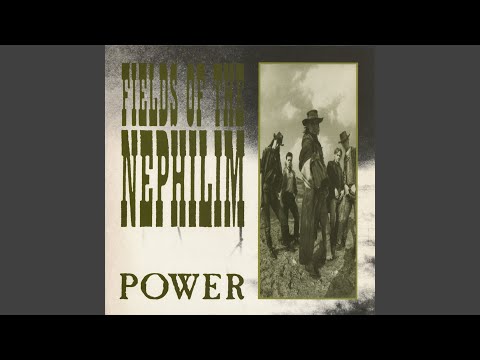 The Tower cover