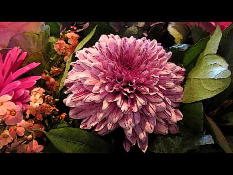 Opwekking 264 Waardig is het Lam