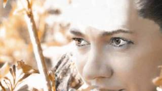 Brother Sparrow (Agnes Obel) Cover (with Lyrics)