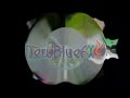 Sony Vegas 7 0 Klasky Csupo In Opposite Center Effects 64