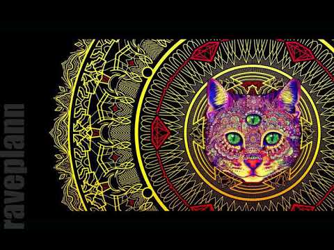 Psytrance sG4rY DJ Set Sonica Dance Festival 2017