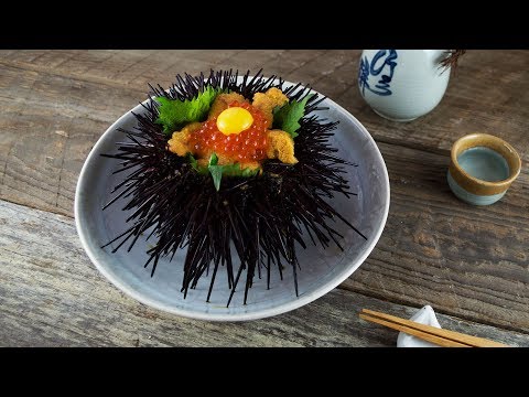 How to Open Live Uni