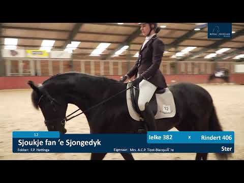 IBOP 27-5-2021 WB Stables te Wergea