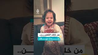 وليد دقة من يكون 