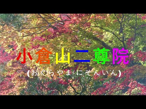 교토 아라시야마 きょうとあらしやま 단풍