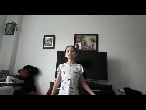 ION ALESSIA MARIA - SHALLOW