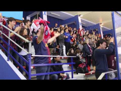 D1  Lyon   Montpellier 26102013