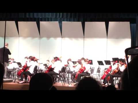 WMS Orchestra Spring 2017