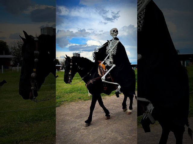 Vídeo relacionado con BESPORTBLE 4 Piezas Báculo Dorado para Halloween Cosplay y Escénicas Varita de Resistente Decoración para Fiesta y Fotografía