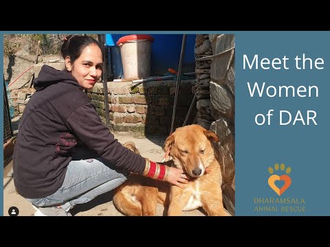 Help 7 Indian women rescue 100 Dogs!
