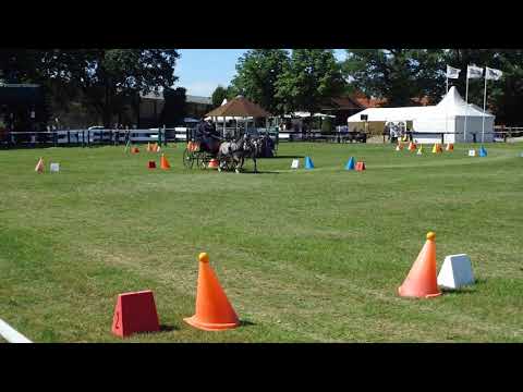 Fahrturnier Ostenfelde 14.8.2021