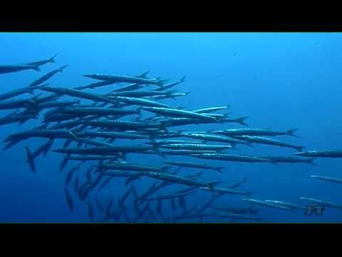 San Dimitri, (Barakuda) Point, Gozo/Malta, San Dimitri Point,Gozo,Malta