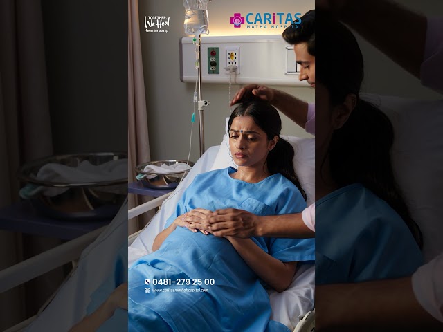 Birth Companion (LDRP)