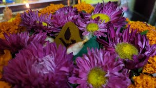 Maa Batukamma Celebrations