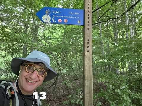 7 tappa del cammino di Santiago de Compostela, da Roncisvalle a Zubiri. 22 maggio 2022.