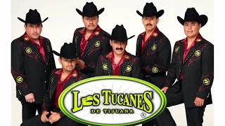 Los Tucanes De Tijuana / Puros Corridos Pesados Mix 2021