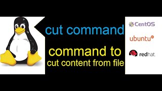 How to cut content of a file using CUT command