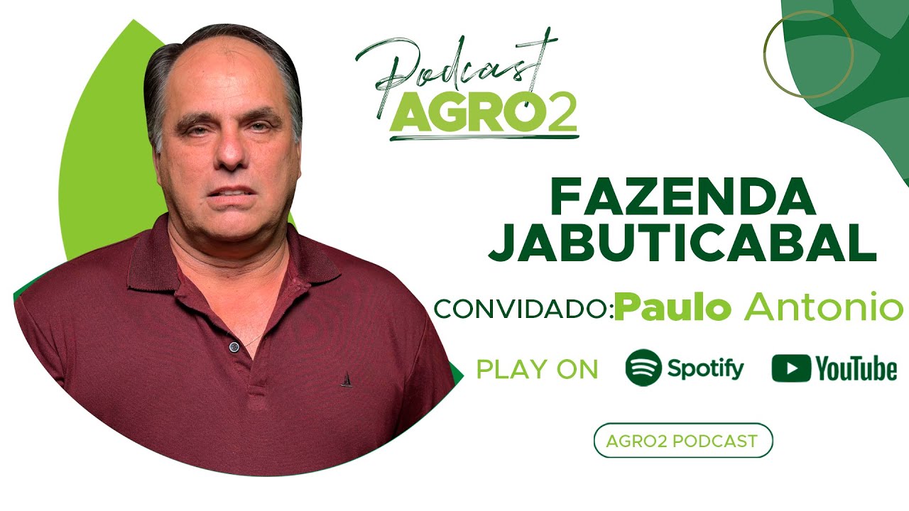 Fazenda Jabuticabal - uma das maiores produtoras de jabuticaba do Brasil e do mundo #310