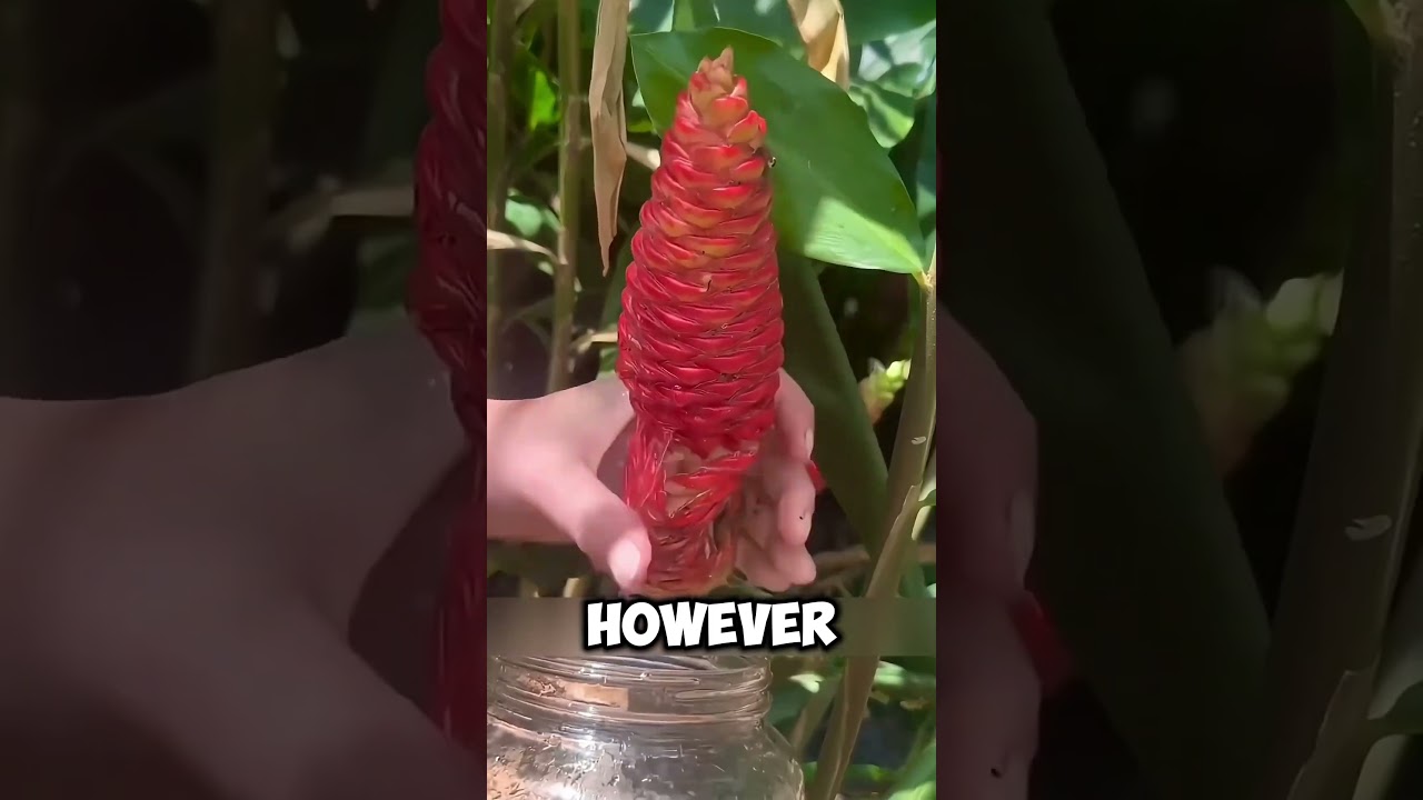 Why You Shouldn't Press This Flower