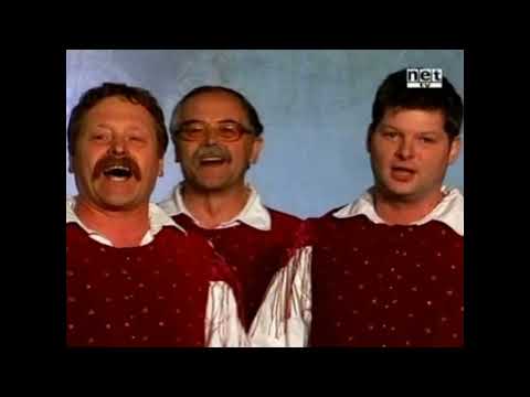 AŠIČ VIKI TRIO & OKTET PETROL - Logarjeva povest - NET TV
