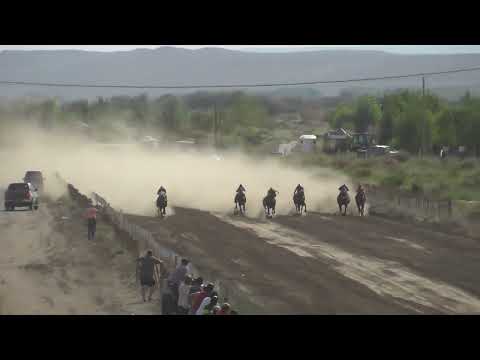 CHE NACHITO  Club Hípico Añelo - Añelo - Neuquén - 12-03-2023