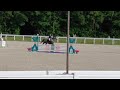 Top poney rans