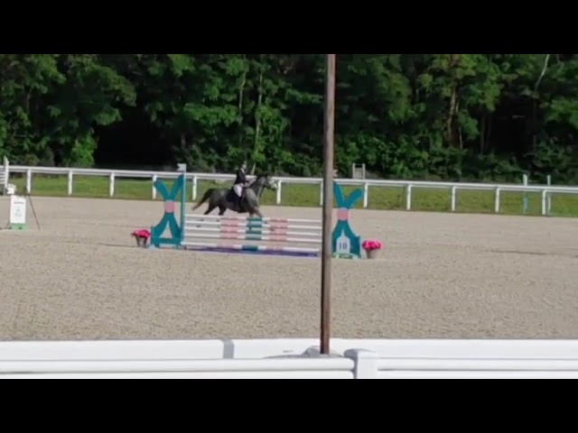 Top poney rans