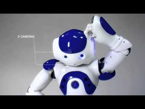 The Nao Robot
