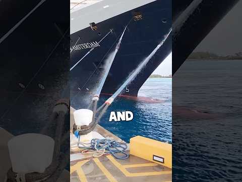 Dangerous Mooring Rope 🚢