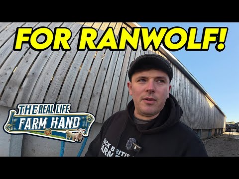 Per RanWolf! (8 settembre 2025) | Il blog del vero bracciante agricolo