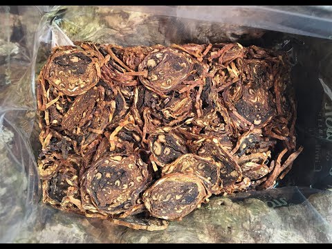 Tabakreview: Peterson Special Reserve 2018 Limited Edition