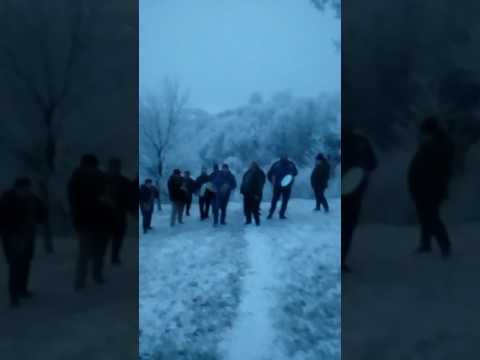 Dubasii din tarnava Comuna branisca