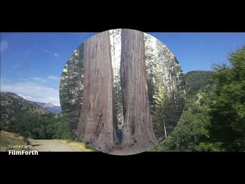 Les 10 meilleures choses à voir en Californie