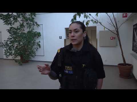 Följ med tullen på Västerås flygplats: ”Hunden är tränad på narkotika och vapen”