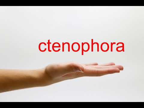 How to Pronounce ctenophora - American English