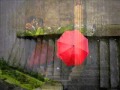 Bill Douglas..  .  .  ..Sweet Rain.. 