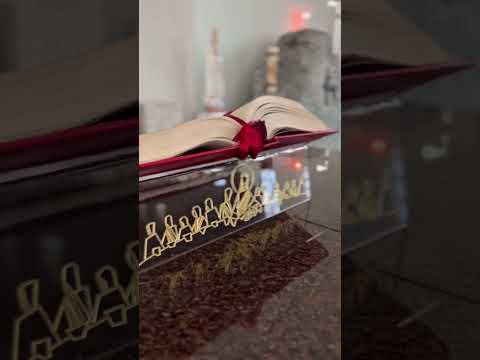 V&iacute;deo 7