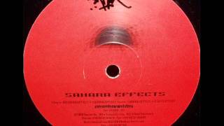 Heiko Laux - Tundra effect  (1995)