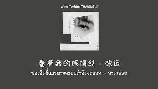 Download lagu 看着我的眼睛说 มองสิ่งที่แววตาของผมกำลังจะบอก - 张远 จางหย่วน [THAISUB แปลไทย] mp3