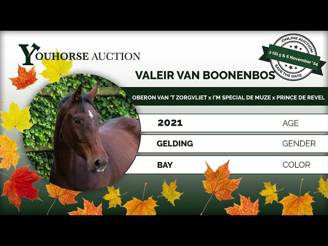 Valeir van Boonenbos