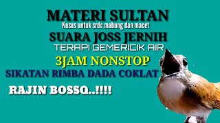 Download lagu terapi dan masteran srdc biar cepat bunyi.full 3 jam nonstop full isian .terapi air gemericik.... mp3