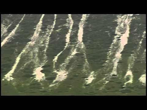 ONDA TG 27.01.2015 - QUESTIONE PASCOLI  IL TAR DA RAGIONE A CONFAGRICOLTURA  OK