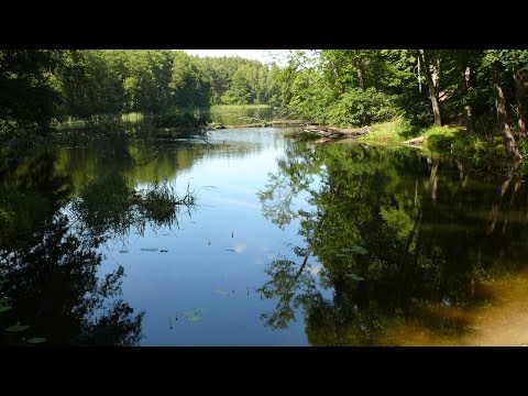 EUROPAS WILDE FLÜSSE - OBRA (Film)