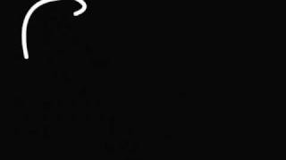 Calibretto 13 - Sheep of The U.S.A