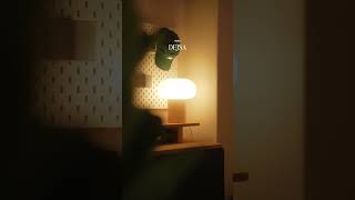 Download lagu My Lamp Collection 💡 mp3