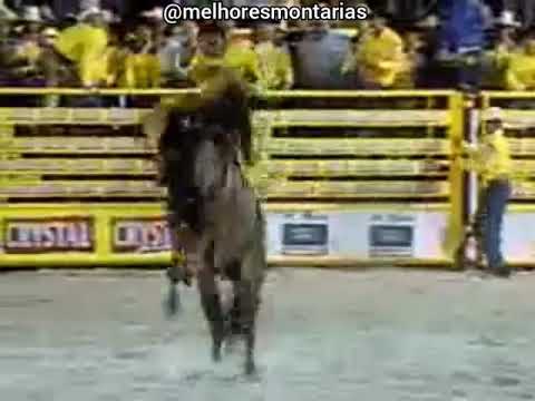 JOSÉ DAMIÃO DA SILVA X PANTER - RODEIO DE ORLÂNDIA - SP #cutiano #rodeio #rodeo