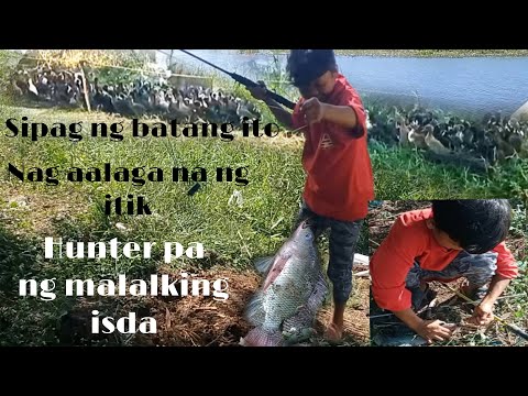 , title : 'Batang pastol  ng itik nakasama namin mang hunting ng isda sya pa ng huli ng Mamaw salute sayo idol🫡'